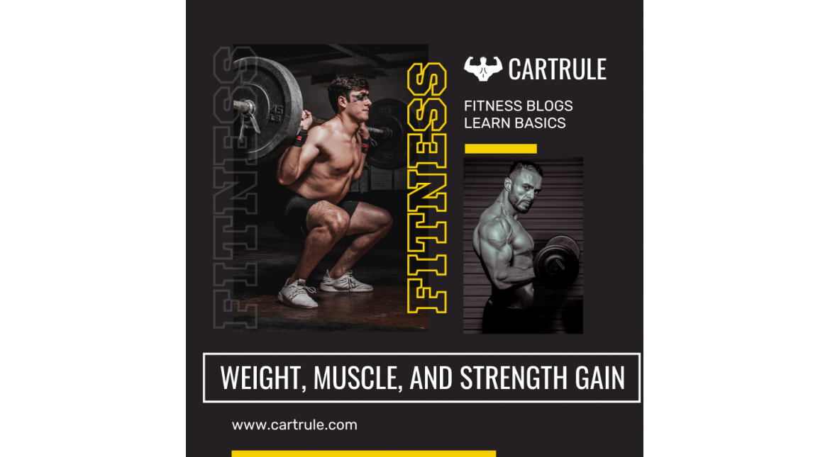 Basics About Muscle, Weight, & Strength Gain